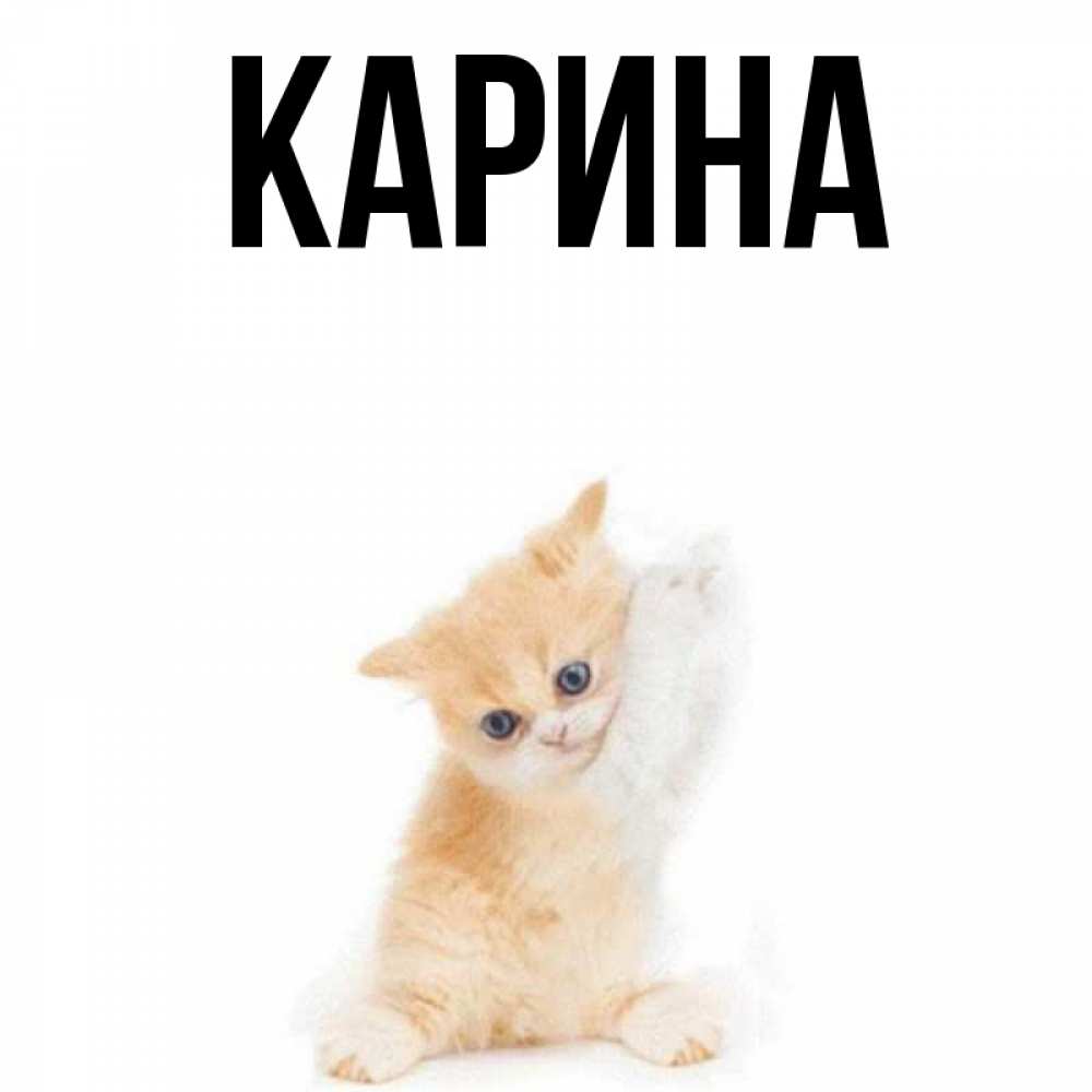 Открытка на каждый день с именем, Карина Главная я хочу очень скорее обнимаешек Прикольная открытка с пожеланием онлайн скачать бесплатно 