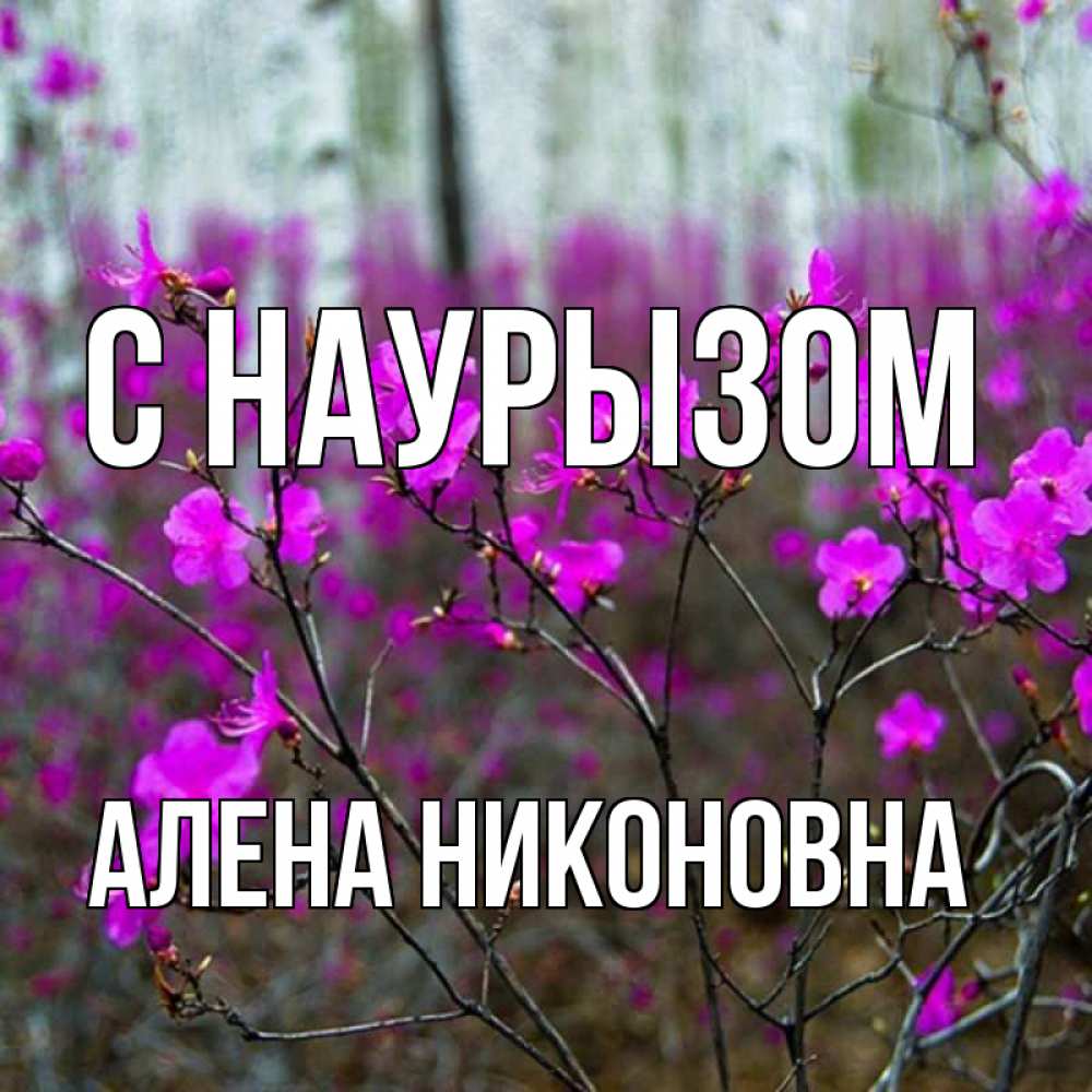 Открытка с именем, Алена Никоновна, С наурызом