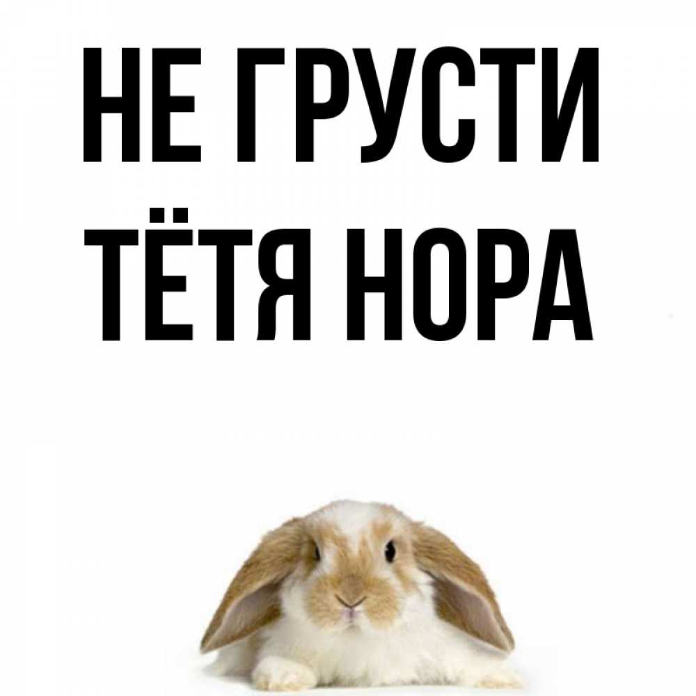Открытка на каждый день с именем, Тётя-Нора Не грусти коричнево белый заяц с большими ушками Прикольная открытка с пожеланием онлайн скачать бесплатно 