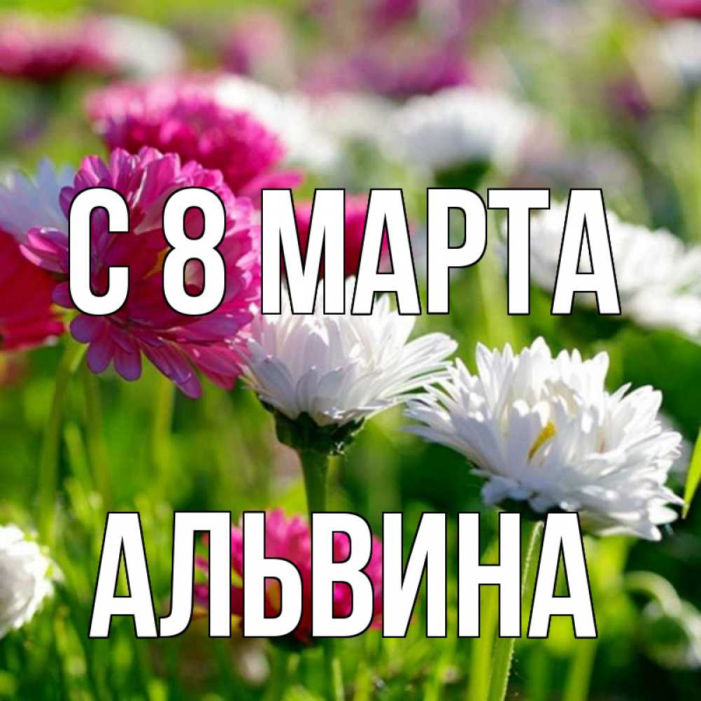 Открытка на каждый день с именем, Альвина С 8 марта международный женский день 1 Прикольная открытка с пожеланием онлайн скачать бесплатно 
