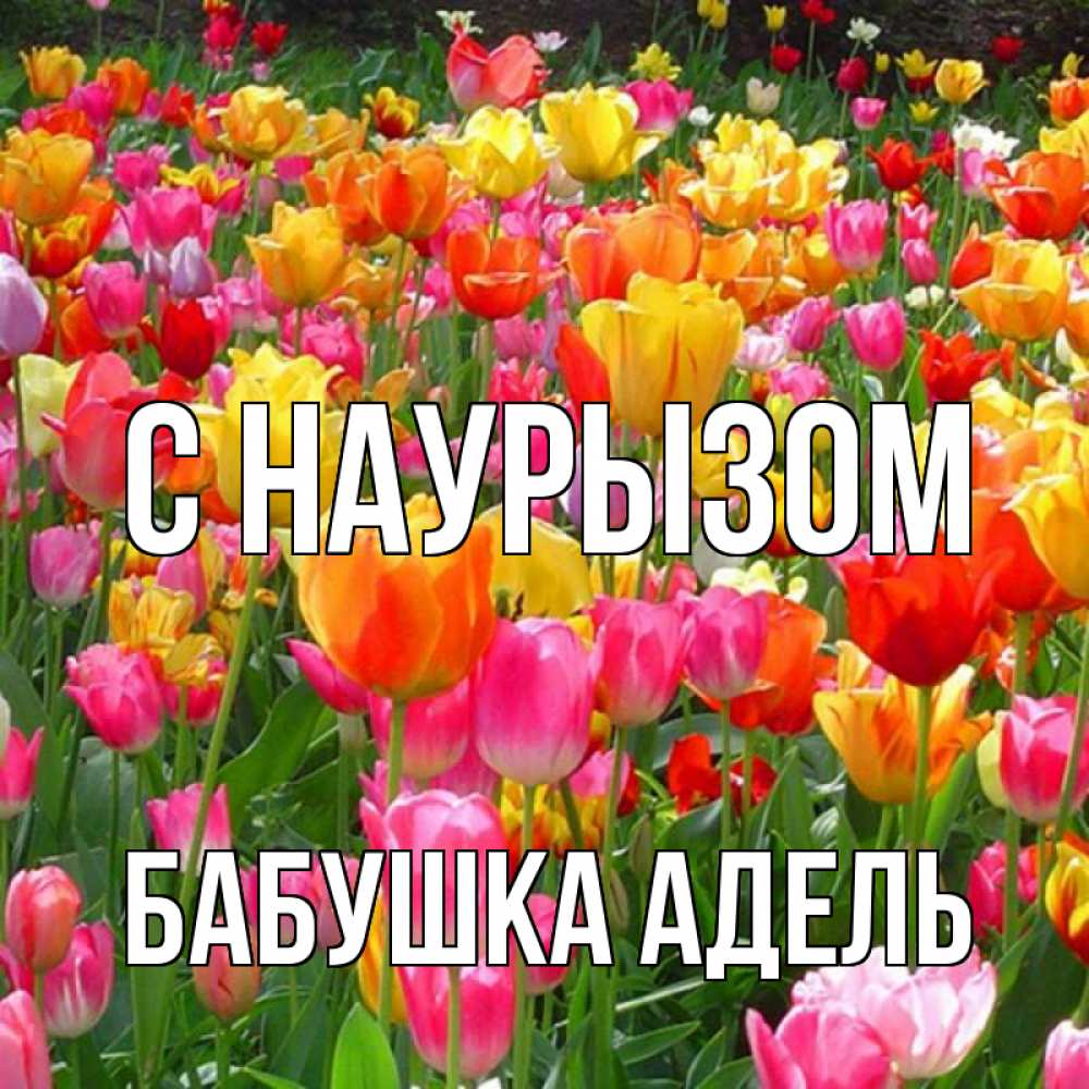 Открытка на каждый день с именем, Бабушка-Адель С наурызом праздник весны наурыз 4 Прикольная открытка с пожеланием онлайн скачать бесплатно 