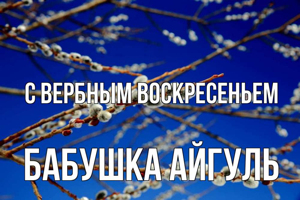 Открытка на каждый день с именем, Бабушка-Айгуль С вербным воскресеньем верба Прикольная открытка с пожеланием онлайн скачать бесплатно 
