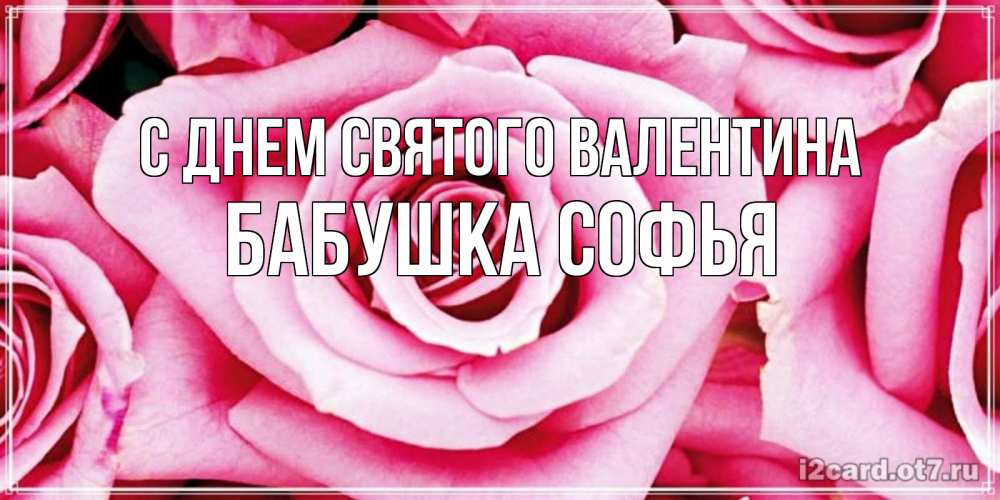 Открытка на каждый день с именем, Бабушка-Софья С днем Святого Валентина роза розовая на день Святого Валентина Прикольная открытка с пожеланием онлайн скачать бесплатно 