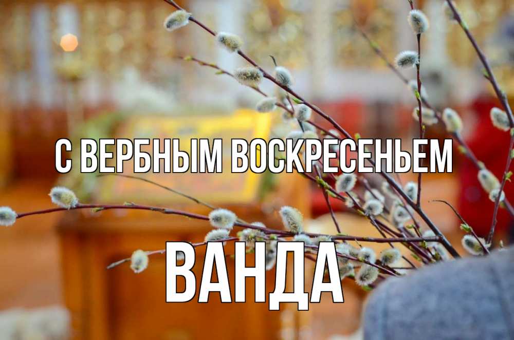 Открытка на каждый день с именем, Ванда С вербным воскресеньем верба Прикольная открытка с пожеланием онлайн скачать бесплатно 