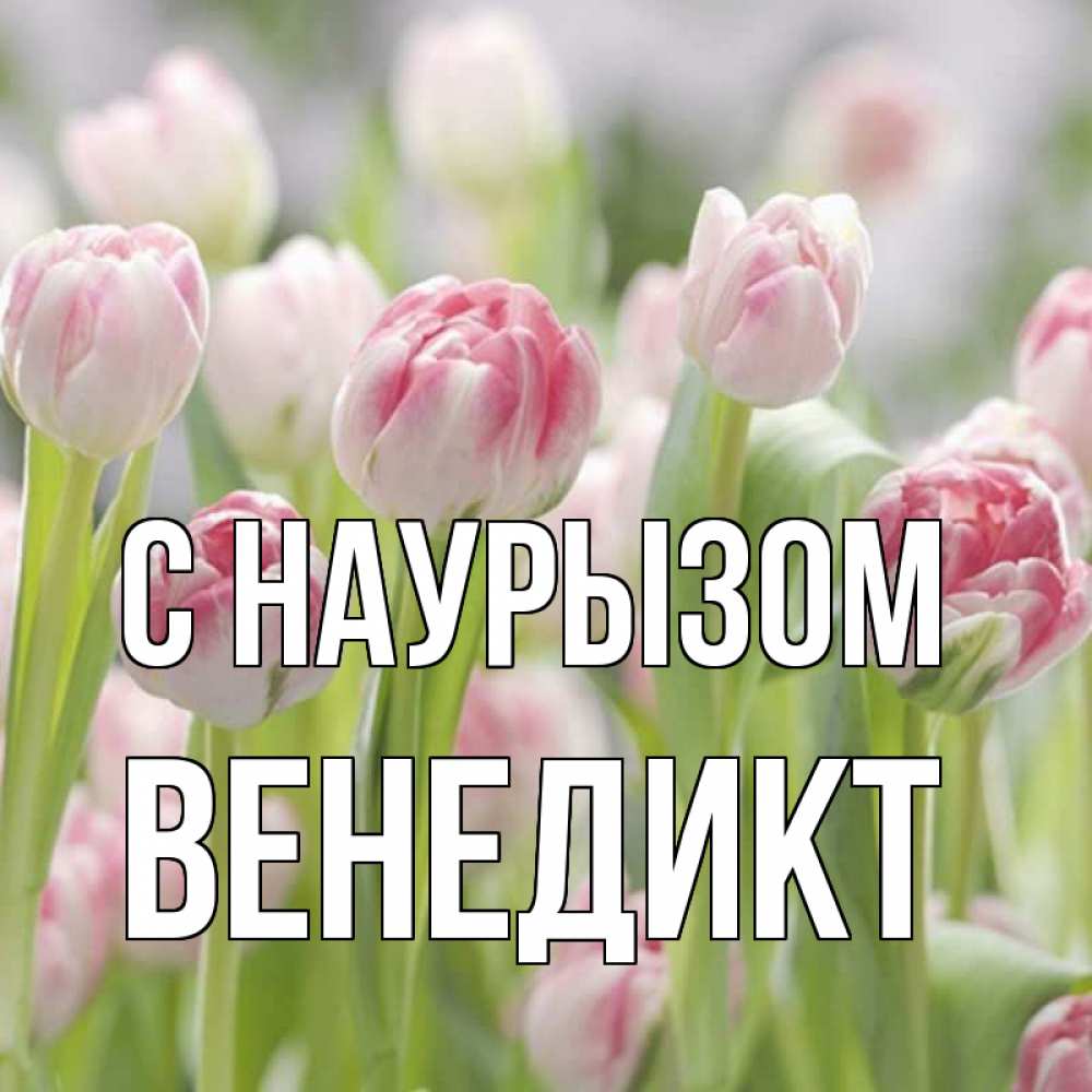 Открытка на каждый день с именем, Венедикт С наурызом цветы Прикольная открытка с пожеланием онлайн скачать бесплатно 
