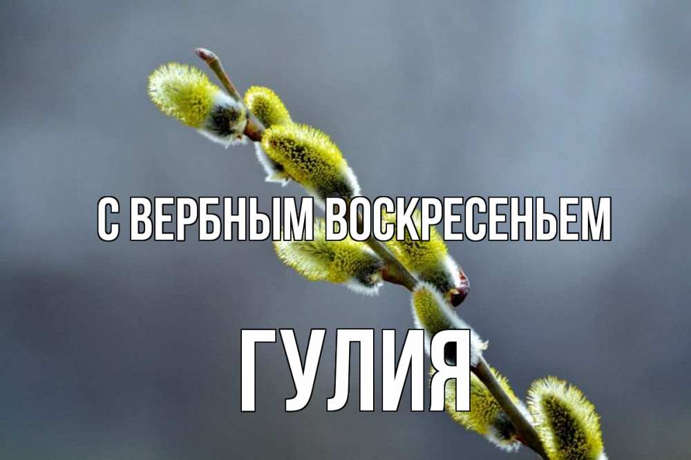 Открытка на каждый день с именем, Гулия С вербным воскресеньем верба Прикольная открытка с пожеланием онлайн скачать бесплатно 