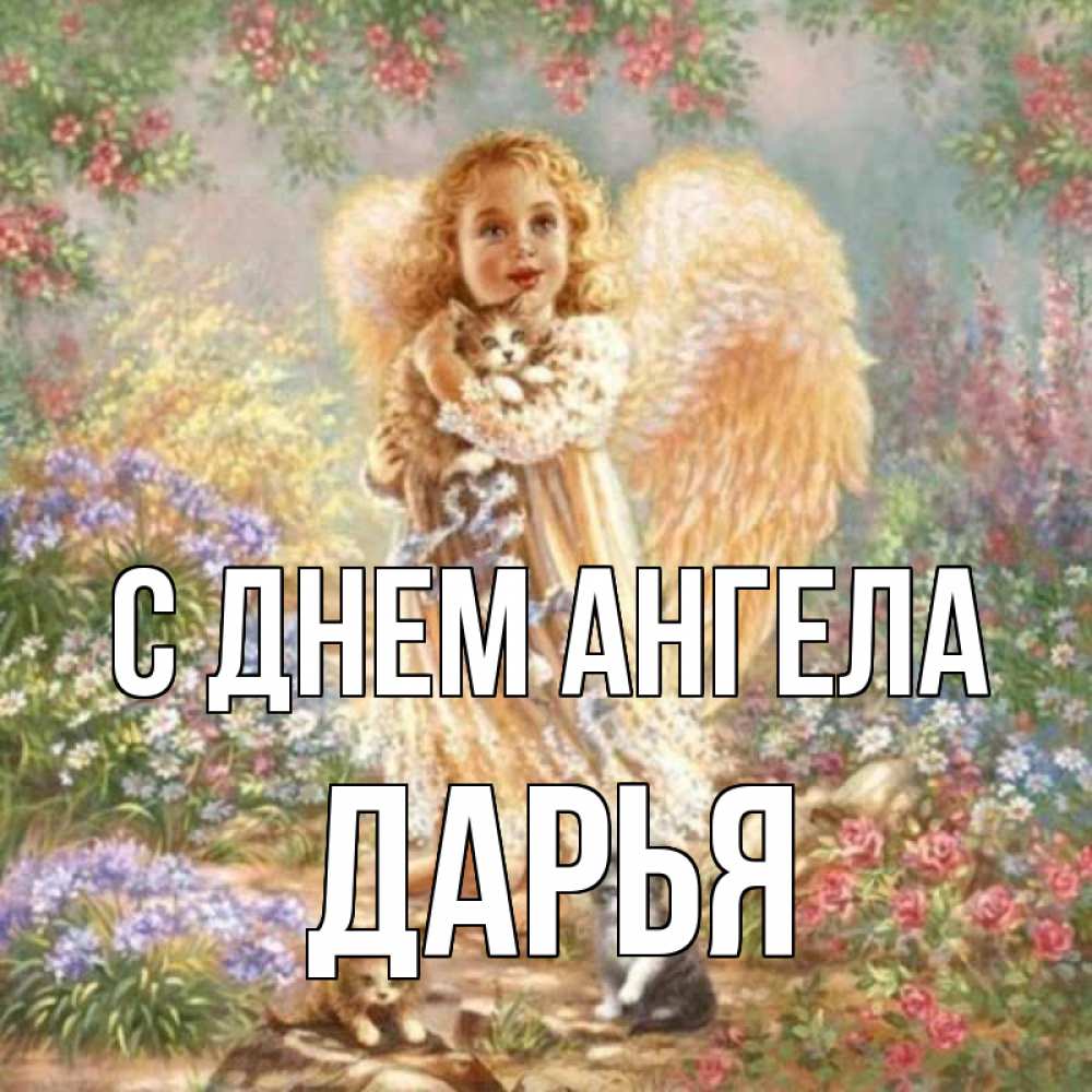 Открытка на каждый день с именем, Дарья С днем ангела держит котенка Прикольная открытка с пожеланием онлайн скачать бесплатно 