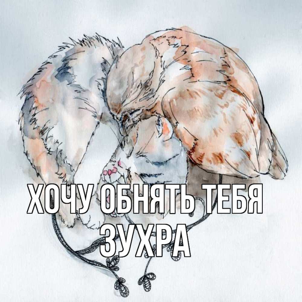 Открытка на каждый день с именем, Зухра Хочу обнять тебя можно быть вместе даже когда очень разные Прикольная открытка с пожеланием онлайн скачать бесплатно 