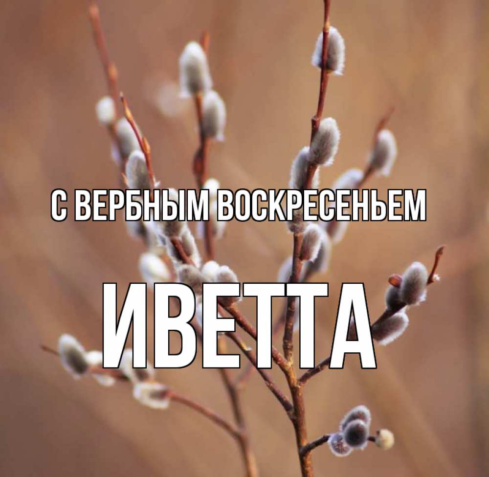 Открытка на каждый день с именем, Иветта С вербным воскресеньем верба Прикольная открытка с пожеланием онлайн скачать бесплатно 