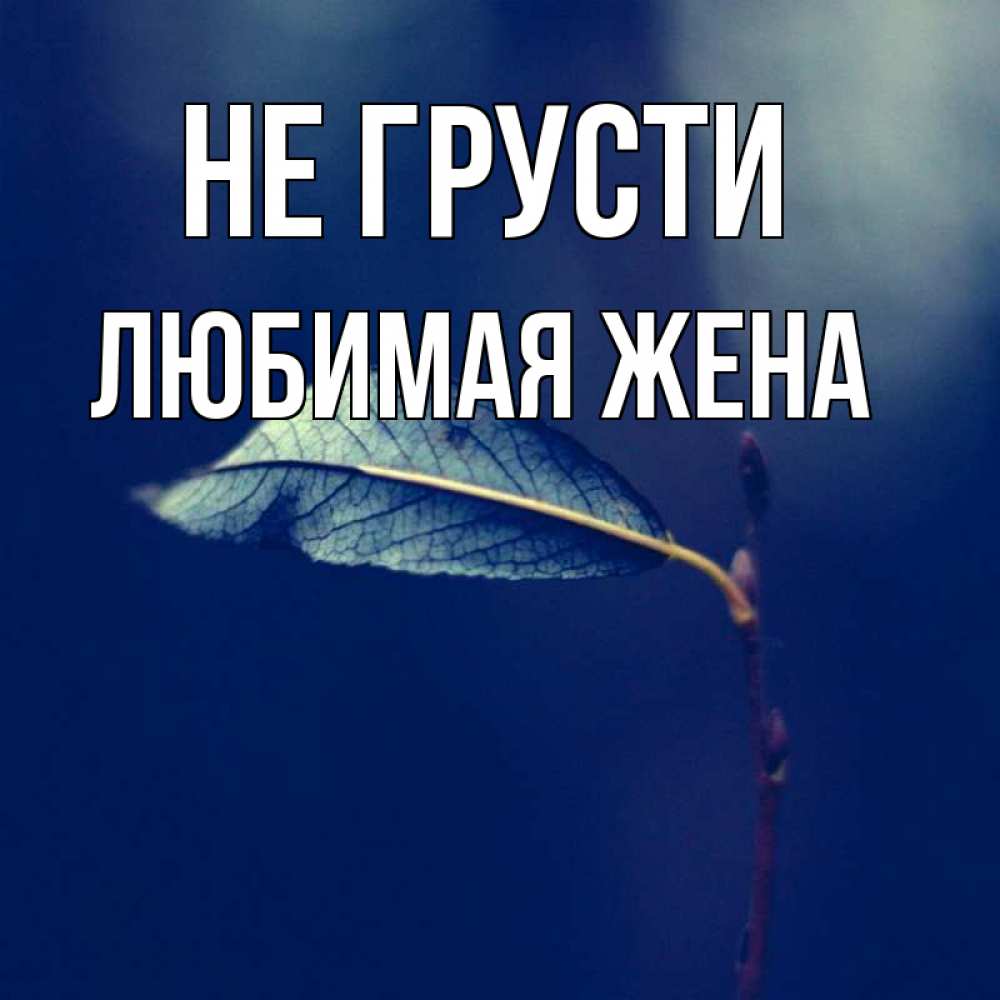 Открытка на каждый день с именем, ЛЮБИМАЯ-ЖЕНА Не грусти растение Прикольная открытка с пожеланием онлайн скачать бесплатно 