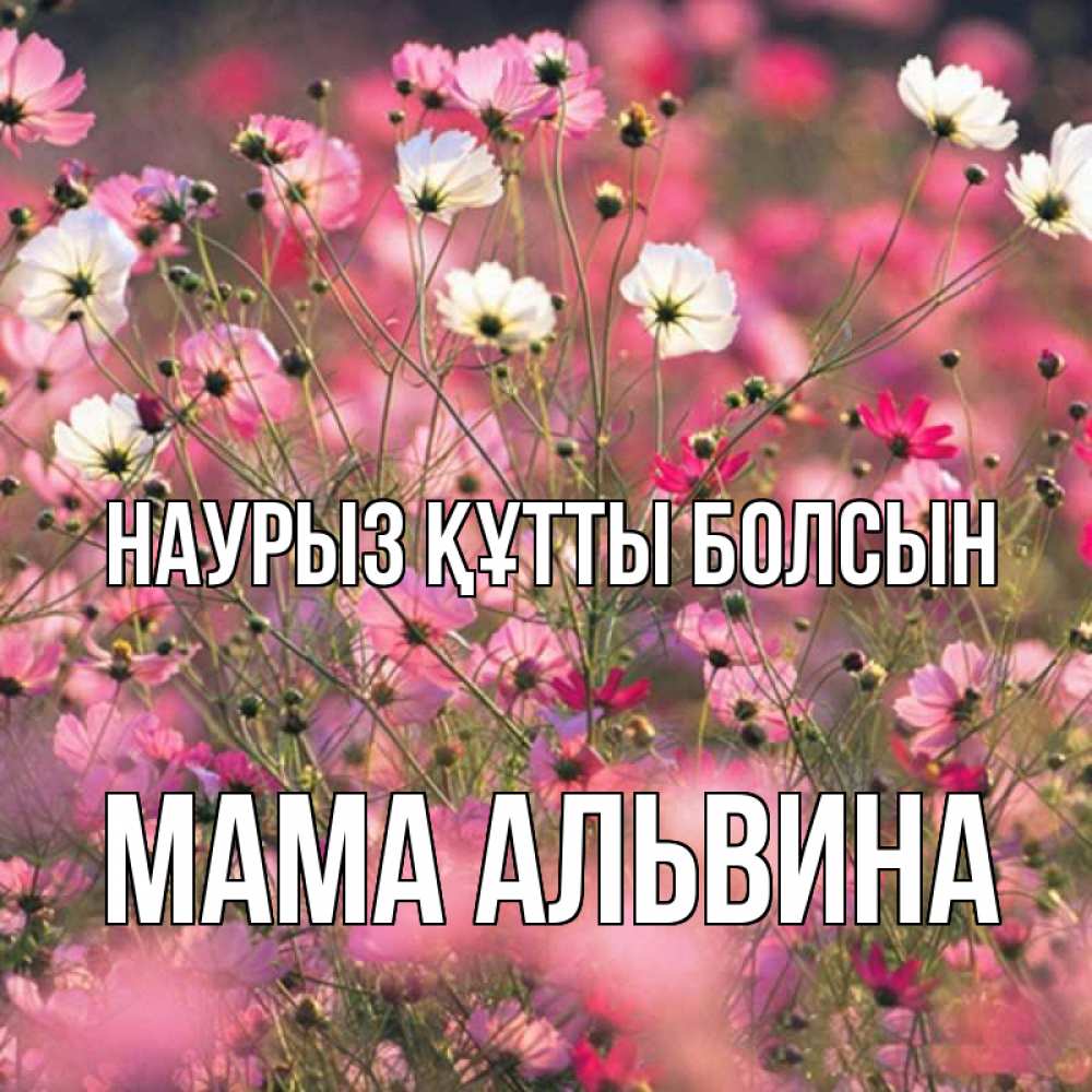 Открытка на каждый день с именем, Мама-Альвина Наурыз құтты болсын красиво 1 Прикольная открытка с пожеланием онлайн скачать бесплатно 