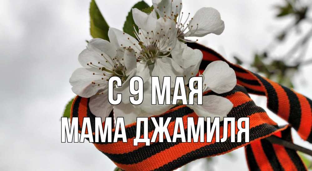 Открытка на каждый день с именем, Мама-Джамиля С 9 мая 9 мая Прикольная открытка с пожеланием онлайн скачать бесплатно 
