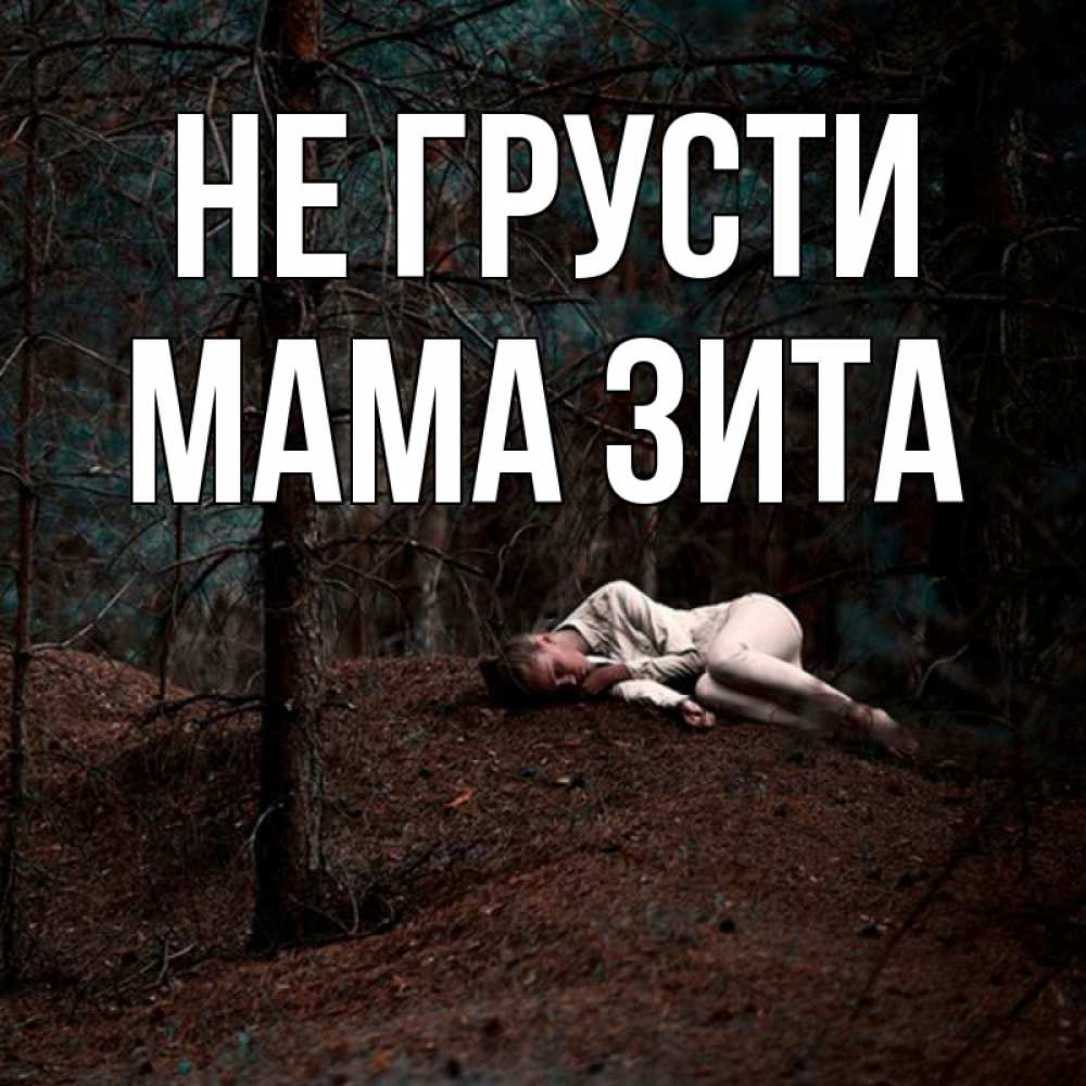 Открытка на каждый день с именем, Мама-Зита Не грусти лес Прикольная открытка с пожеланием онлайн скачать бесплатно 