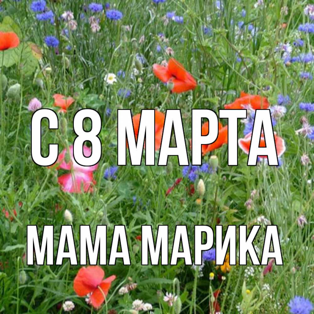 Открытка на каждый день с именем, Мама-Марика С 8 МАРТА международный женский день 4 Прикольная открытка с пожеланием онлайн скачать бесплатно 