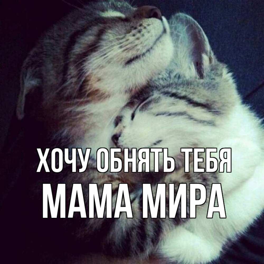 Открытка на каждый день с именем, Мама-Мира Хочу обнять тебя полосатики Прикольная открытка с пожеланием онлайн скачать бесплатно 
