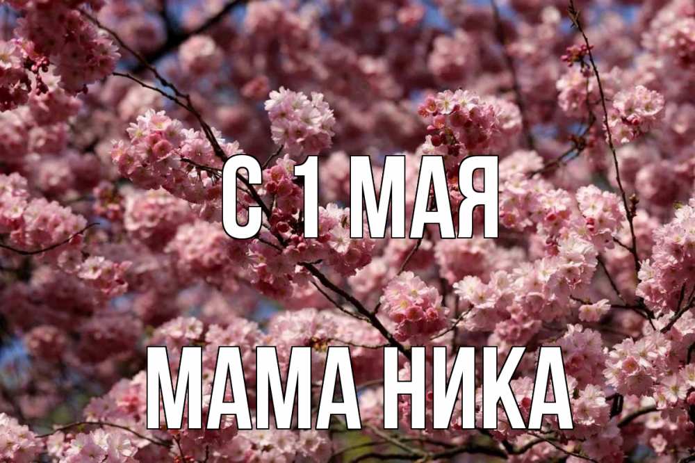 Открытка на каждый день с именем, Мама-Ника С 1 мая С 1 мая Прикольная открытка с пожеланием онлайн скачать бесплатно 