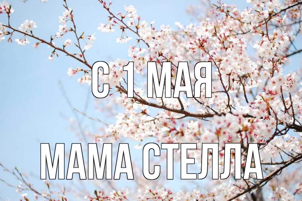 Открытка на каждый день с именем, Мама-Стелла С 1 мая С 1 мая Прикольная открытка с пожеланием онлайн скачать бесплатно 