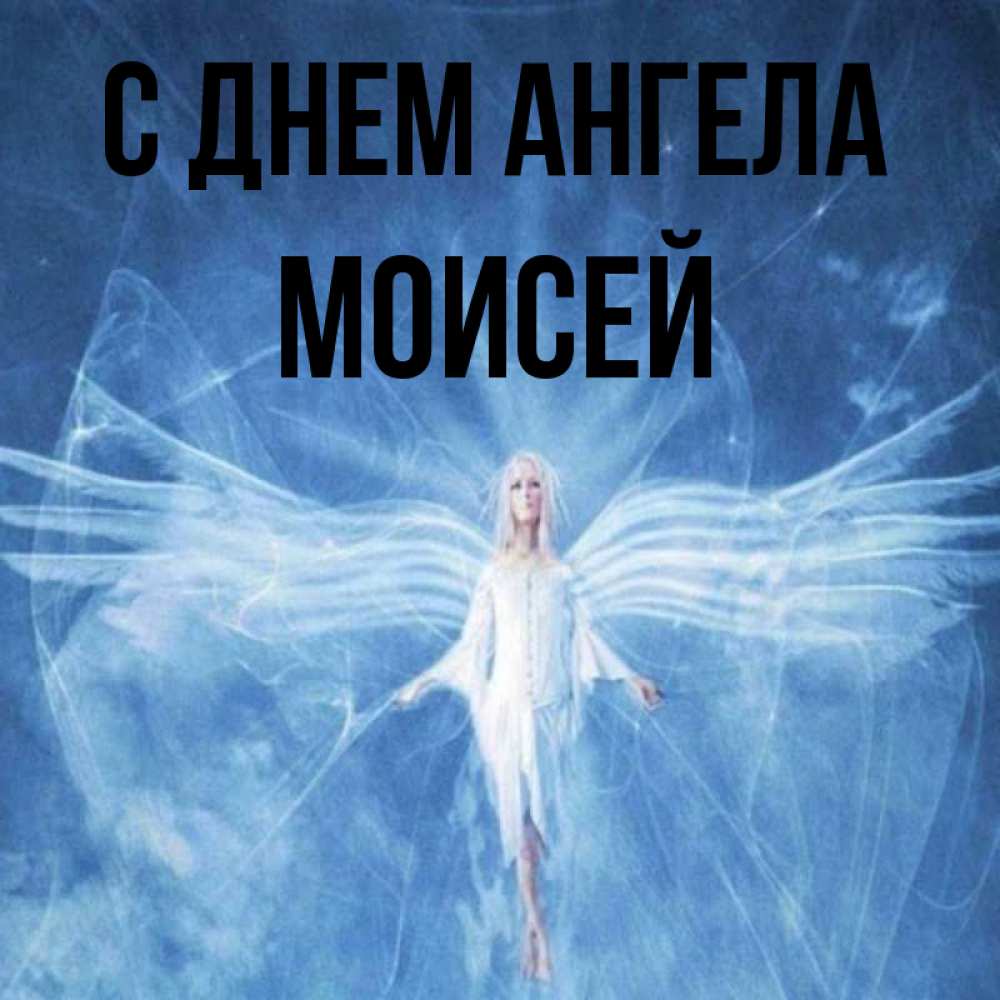 Открытка на каждый день с именем, Моисей С днем ангела голубой фон и крылья как у стрекозы Прикольная открытка с пожеланием онлайн скачать бесплатно 