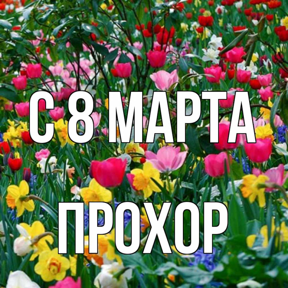 Открытка на каждый день с именем, Прохор С 8 марта с международным женским днем поздравления для женщины Прикольная открытка с пожеланием онлайн скачать бесплатно 