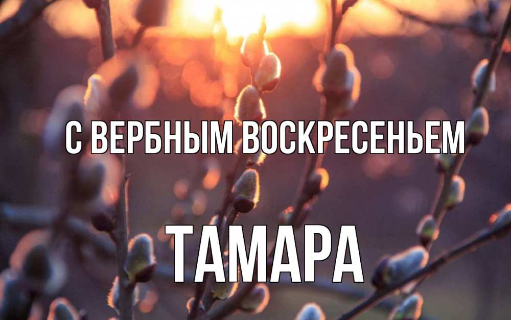 Открытка на каждый день с именем, Тамара С вербным воскресеньем верба Прикольная открытка с пожеланием онлайн скачать бесплатно 
