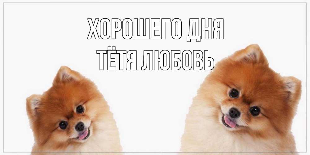 Открытка на каждый день с именем, Тётя-Любовь Хорошего дня собачки желают прекрасного дня Прикольная открытка с пожеланием онлайн скачать бесплатно 