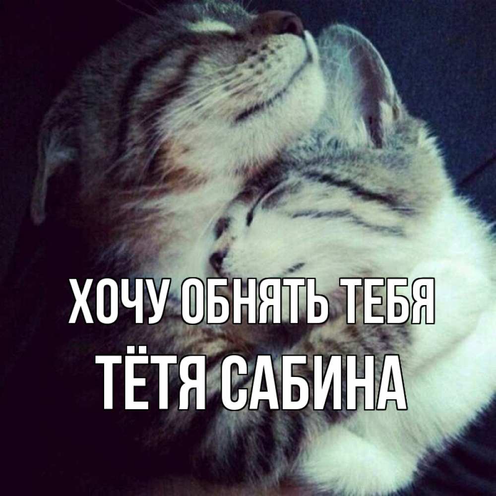Открытка на каждый день с именем, Тётя-Сабина Хочу обнять тебя полосатики Прикольная открытка с пожеланием онлайн скачать бесплатно 