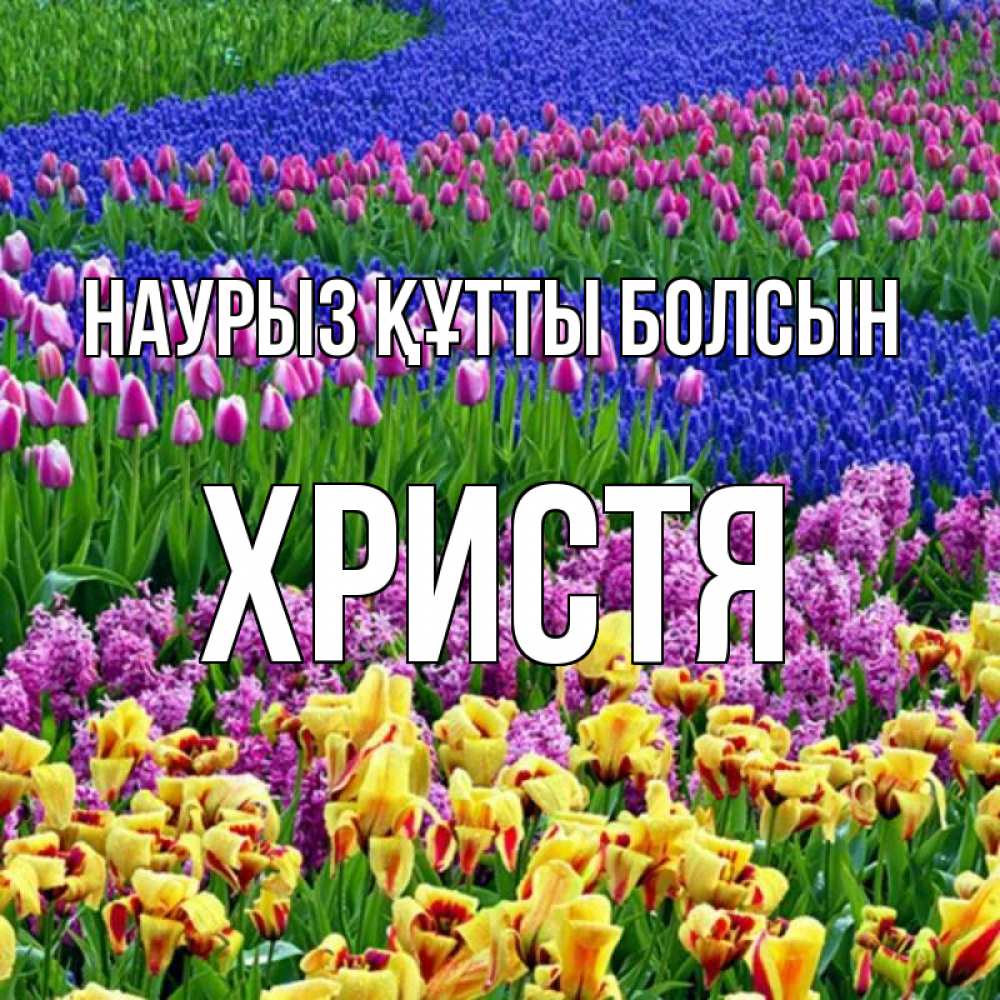 Открытка на каждый день с именем, Христя Наурыз құтты болсын цветы Прикольная открытка с пожеланием онлайн скачать бесплатно 