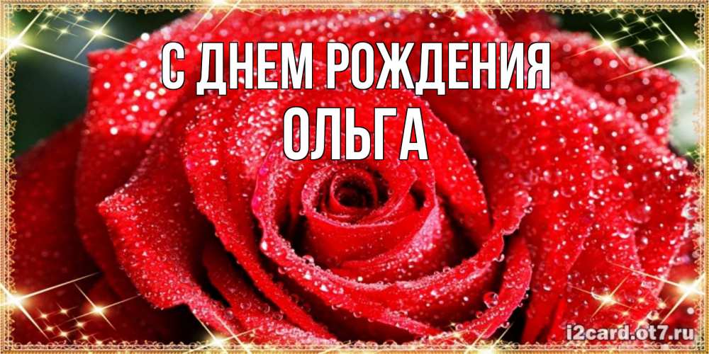 Открытка на каждый день с именем, ольга С днем рождения роса и роза. открытка с красивой розой Прикольная открытка с пожеланием онлайн скачать бесплатно 