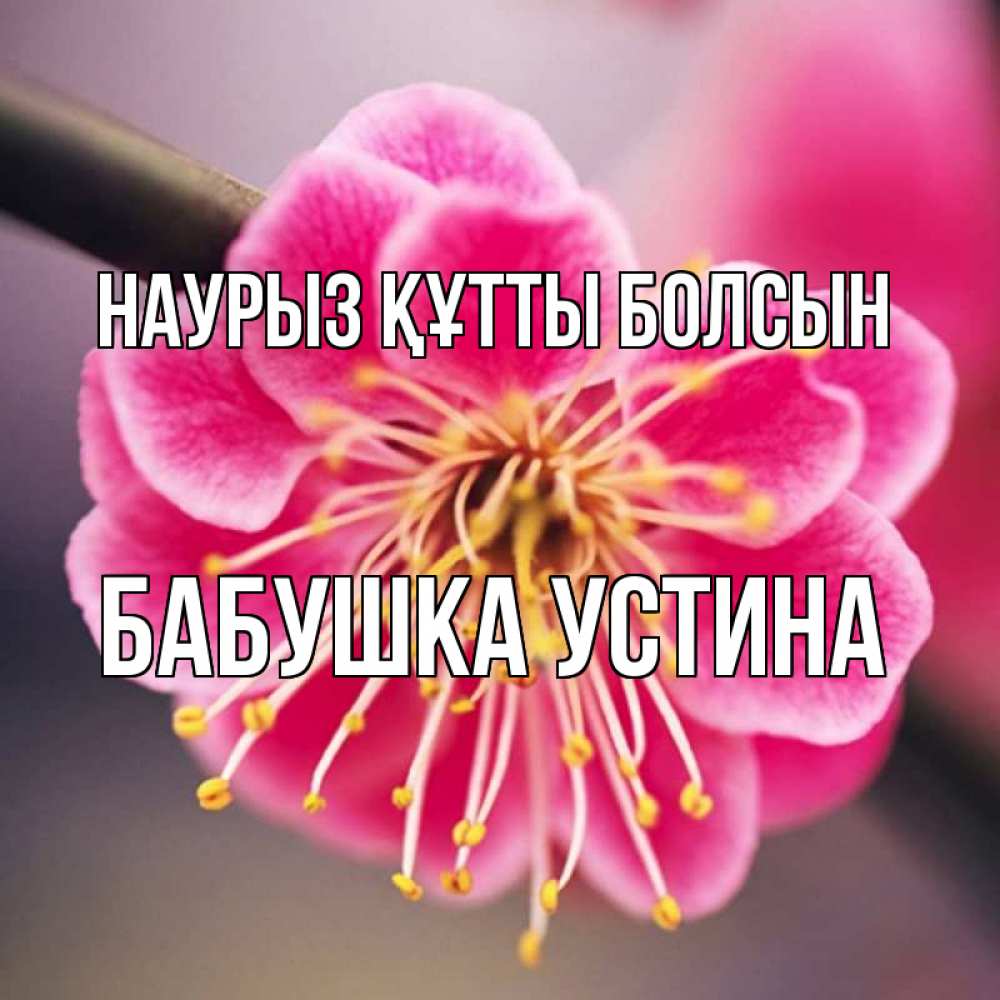 Открытка на каждый день с именем, Бабушка-Устина Наурыз құтты болсын цветы Прикольная открытка с пожеланием онлайн скачать бесплатно 