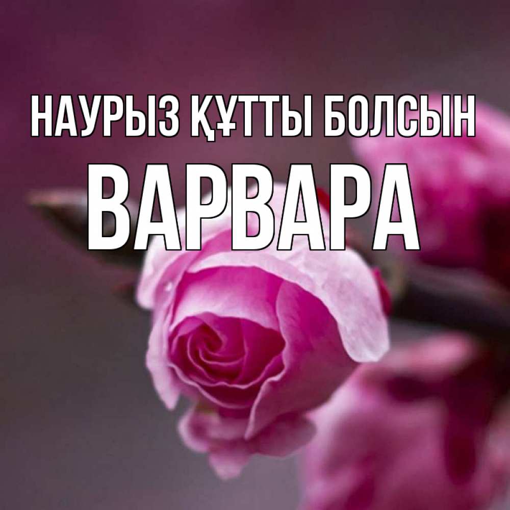 Открытка на каждый день с именем, Варвара Наурыз құтты болсын весна Прикольная открытка с пожеланием онлайн скачать бесплатно 