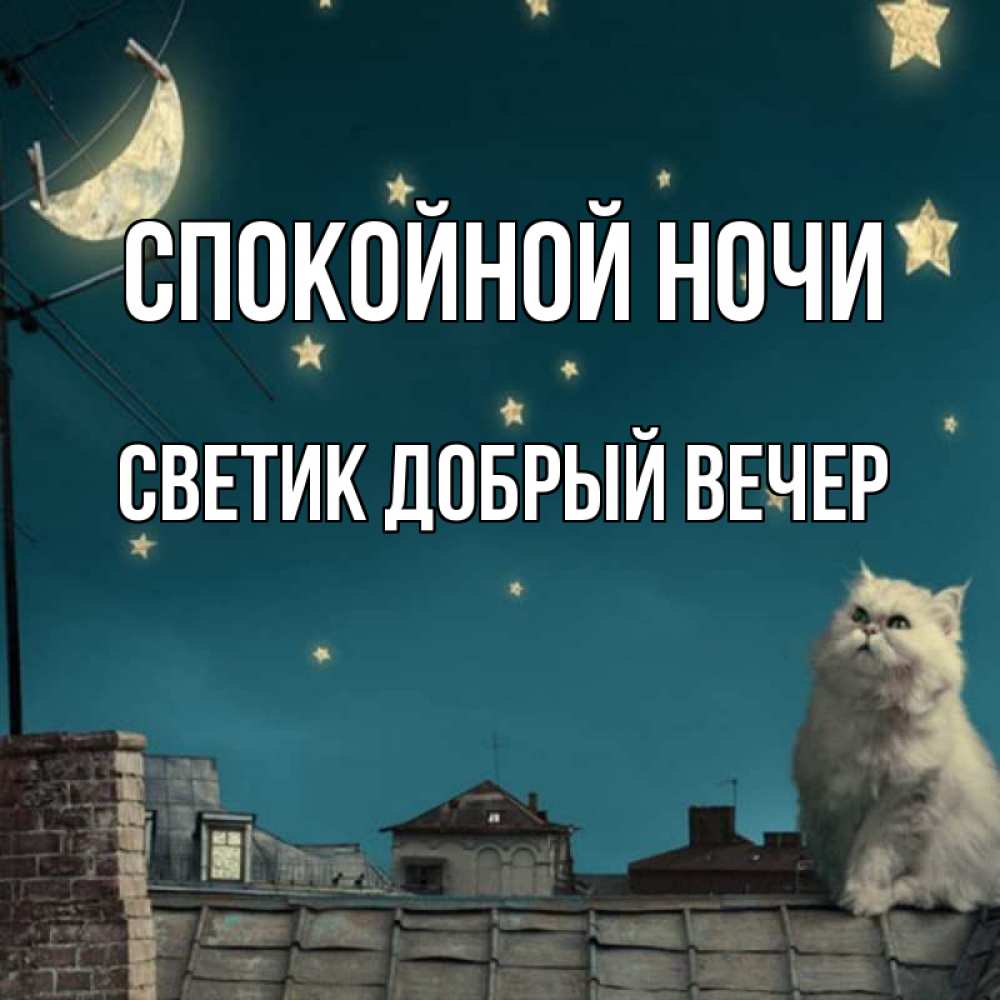 Открытка на каждый день с именем, Светик-добрый-вечер Спокойной ночи белый кот сидит на крыше Прикольная открытка с пожеланием онлайн скачать бесплатно 