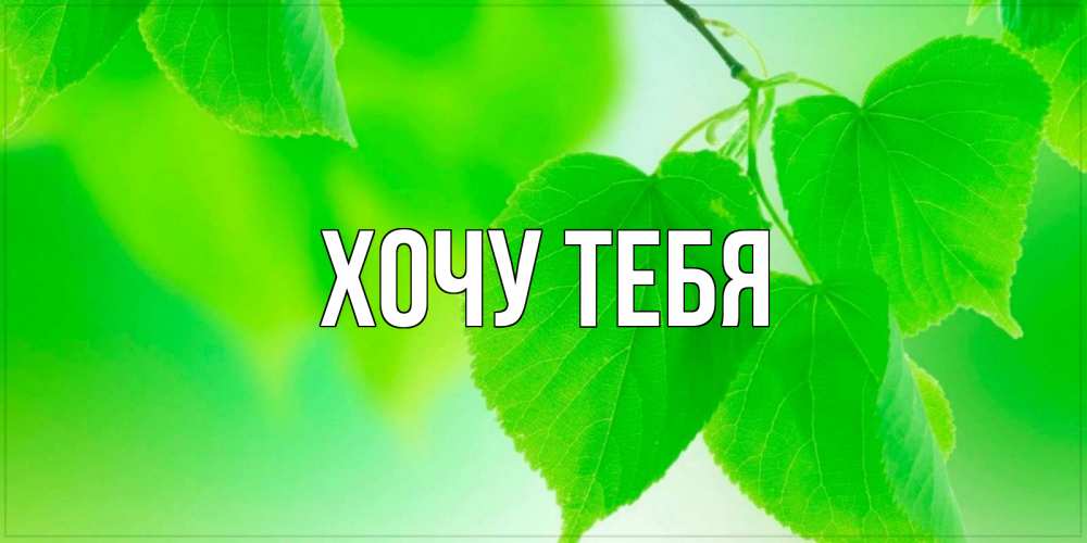 Открытка на каждый день с именем, Хочу-тебя Главная доброе утро с березовыми листьями Прикольная открытка с пожеланием онлайн скачать бесплатно 