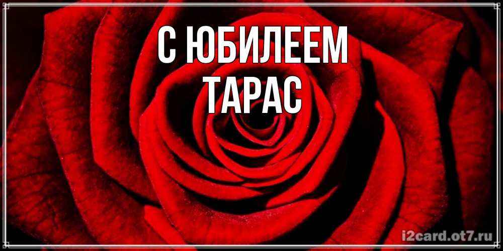 Открытка на каждый день с именем, Тарас С юбилеем алая роза Прикольная открытка с пожеланием онлайн скачать бесплатно 