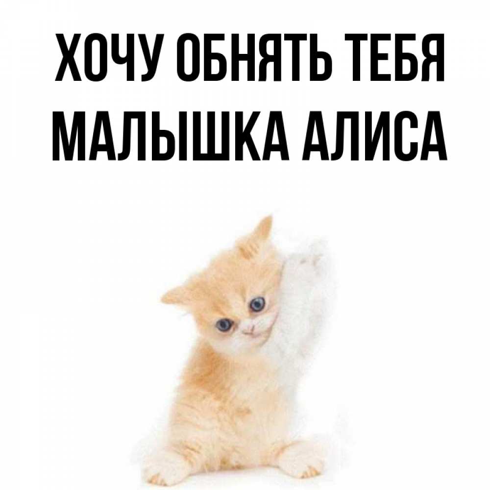 Алиса голосовой логотип. Хочу обнять тебя алиса. Хочу поболтать с алисой. Поразговаривать с алисой. Отправить алисе фото.