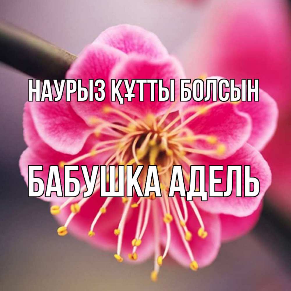 Открытка на каждый день с именем, Бабушка-Адель Наурыз құтты болсын цветы Прикольная открытка с пожеланием онлайн скачать бесплатно 