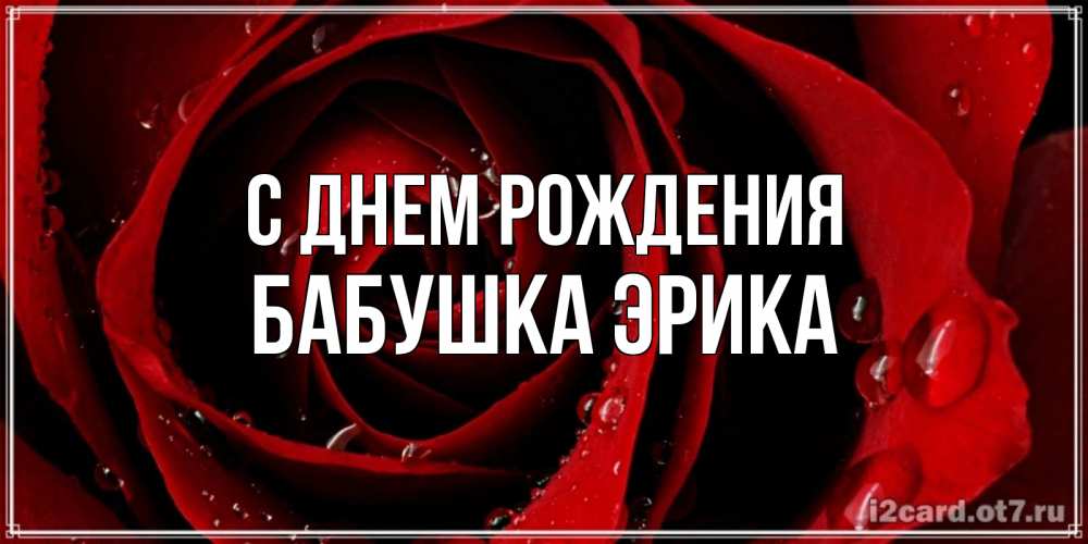 Открытка на каждый день с именем, Бабушка-Эрика С днем рождения крупная бордовая роза Прикольная открытка с пожеланием онлайн скачать бесплатно 