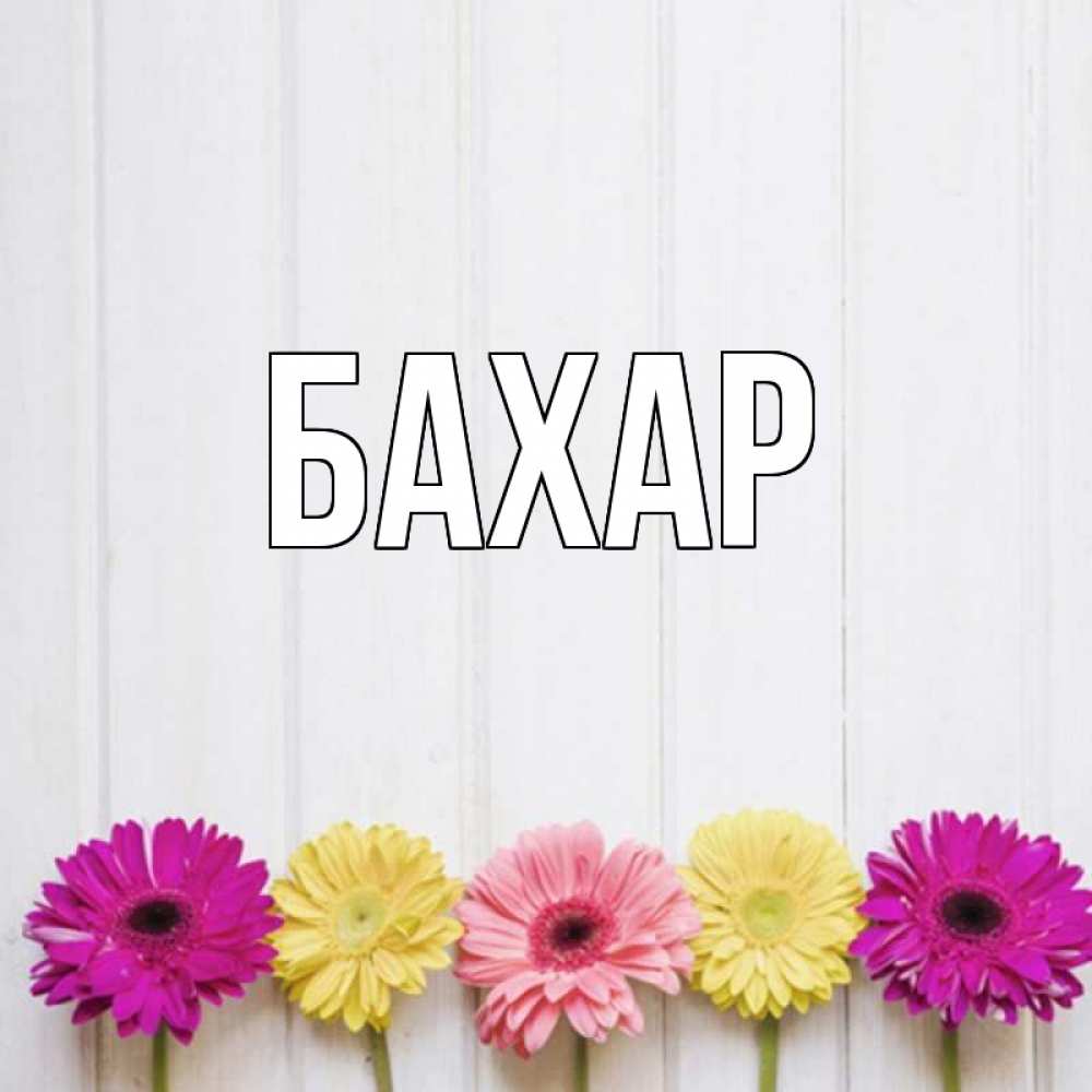 Открытка на каждый день с именем, Бахар Главная женщинам 1 Прикольная открытка с пожеланием онлайн скачать бесплатно 