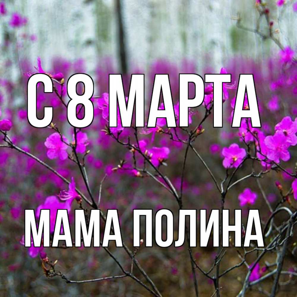 Картинка С 8 марта, Мама Полина