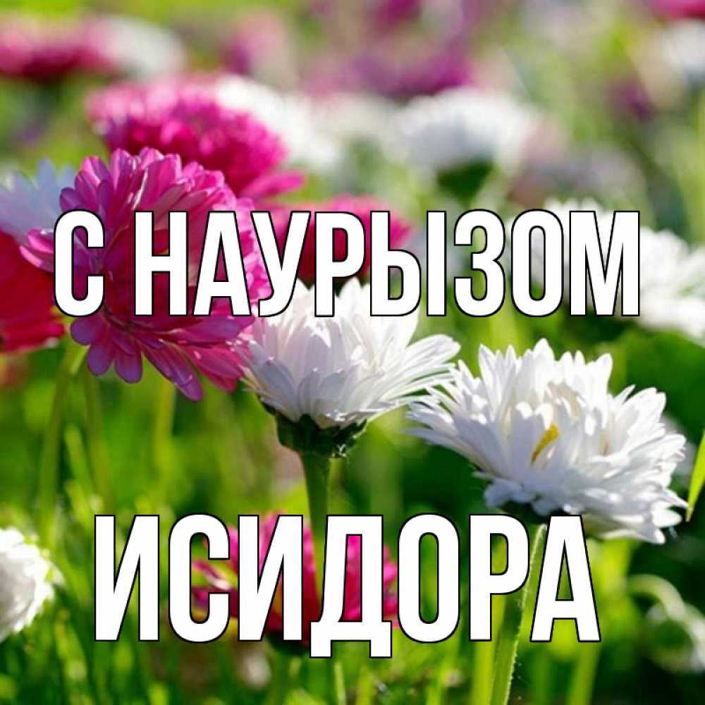 Открытка на каждый день с именем, Исидора С наурызом праздник весны наурыз красота Прикольная открытка с пожеланием онлайн скачать бесплатно 