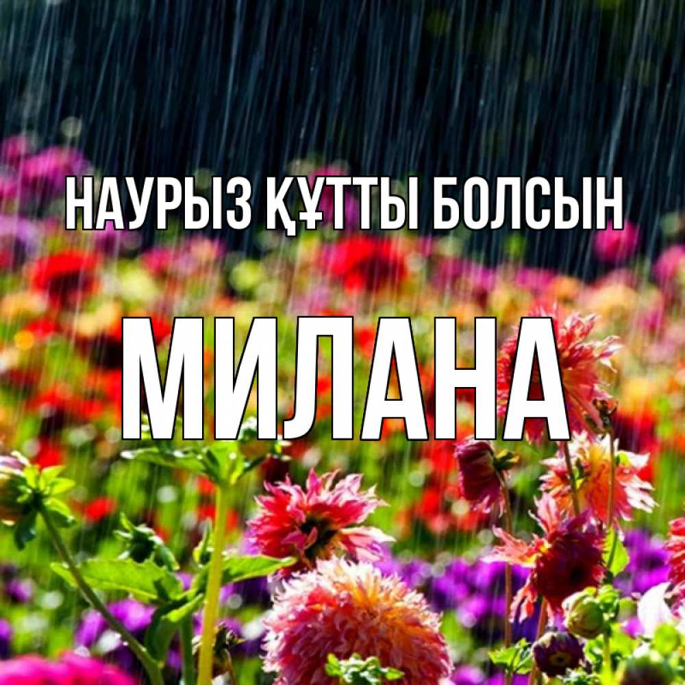 Открытка на каждый день с именем, Милана Наурыз құтты болсын цветы под дождиком к наурызу Прикольная открытка с пожеланием онлайн скачать бесплатно 