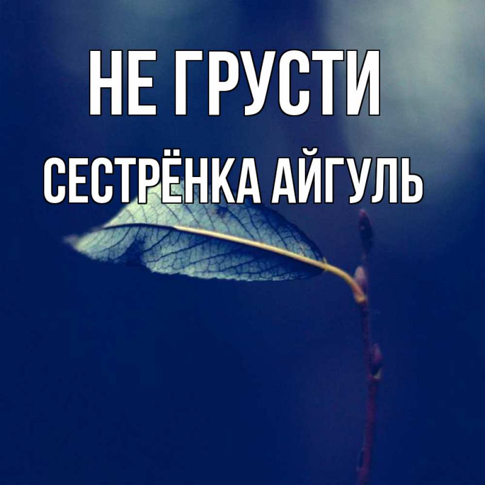 Открытка на каждый день с именем, Сестрёнка-Айгуль Не грусти растение Прикольная открытка с пожеланием онлайн скачать бесплатно 