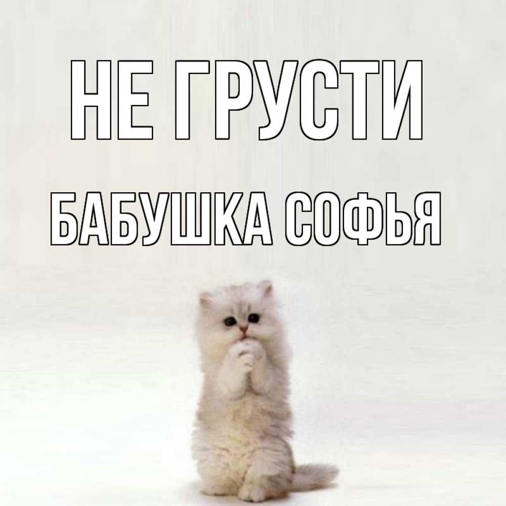 Открытка на каждый день с именем, Бабушка-Софья Не грусти грустный кот Прикольная открытка с пожеланием онлайн скачать бесплатно 