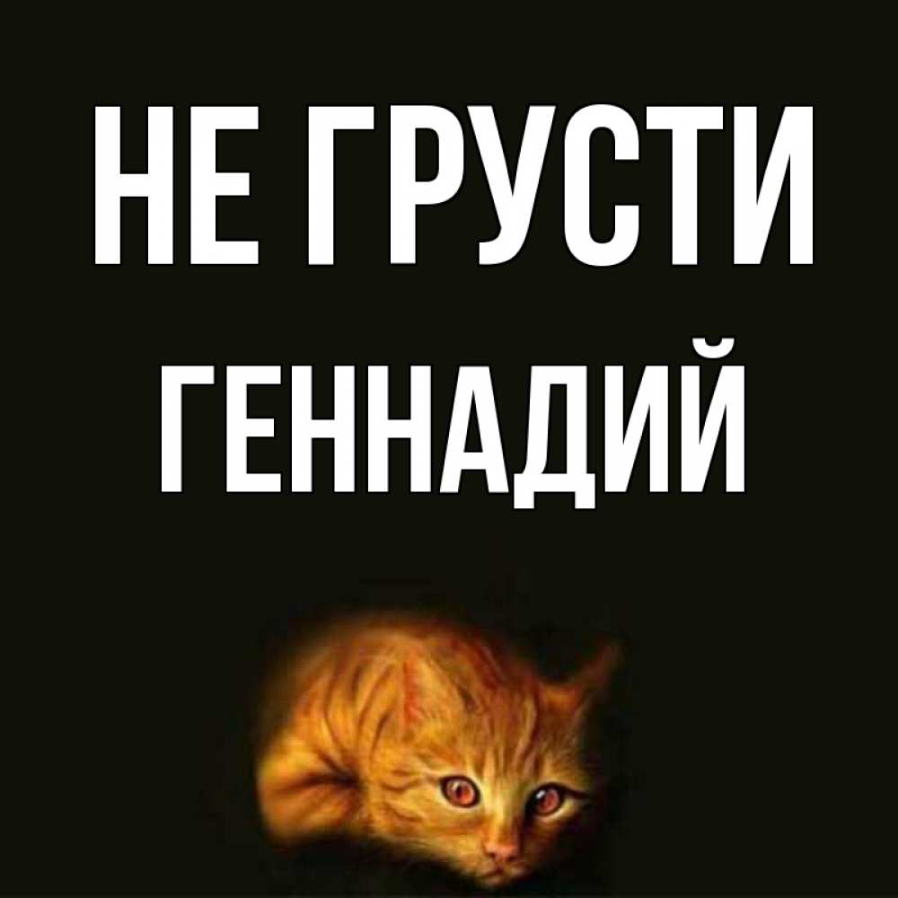 Открытка на каждый день с именем, Геннадий Не грусти лежащий кот в темноте Прикольная открытка с пожеланием онлайн скачать бесплатно 