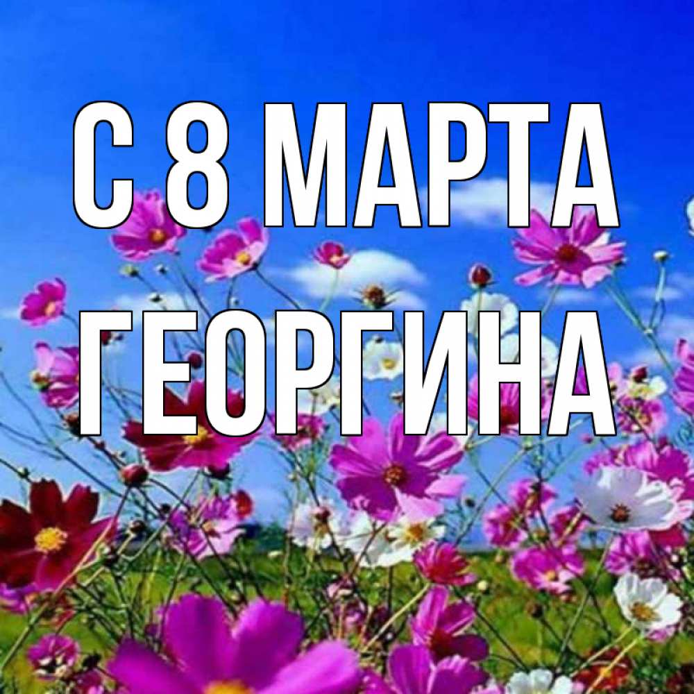 Открытка на каждый день с именем, Георгина С 8 МАРТА цветы Прикольная открытка с пожеланием онлайн скачать бесплатно 