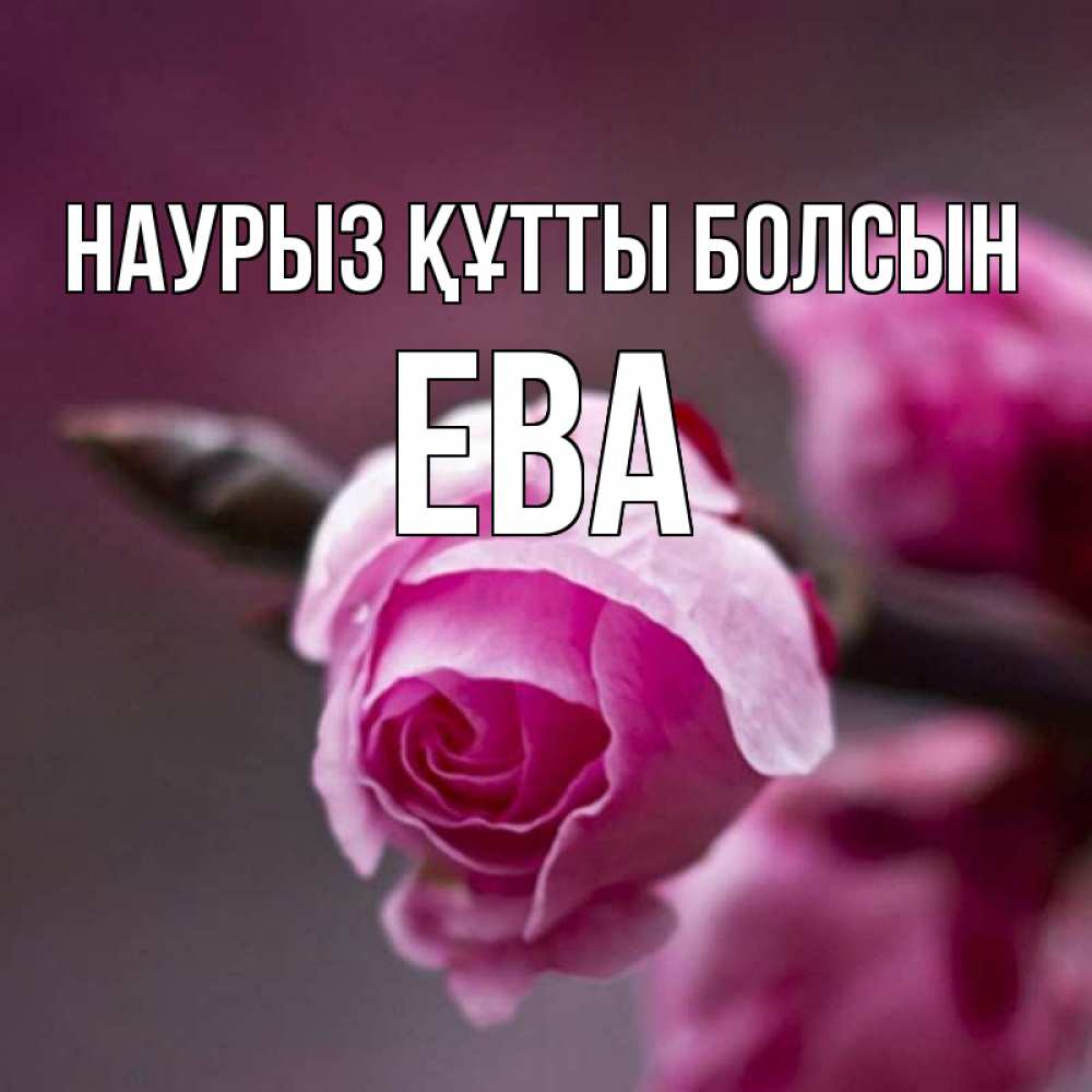 Открытка на каждый день с именем, Ева Наурыз құтты болсын весна Прикольная открытка с пожеланием онлайн скачать бесплатно 