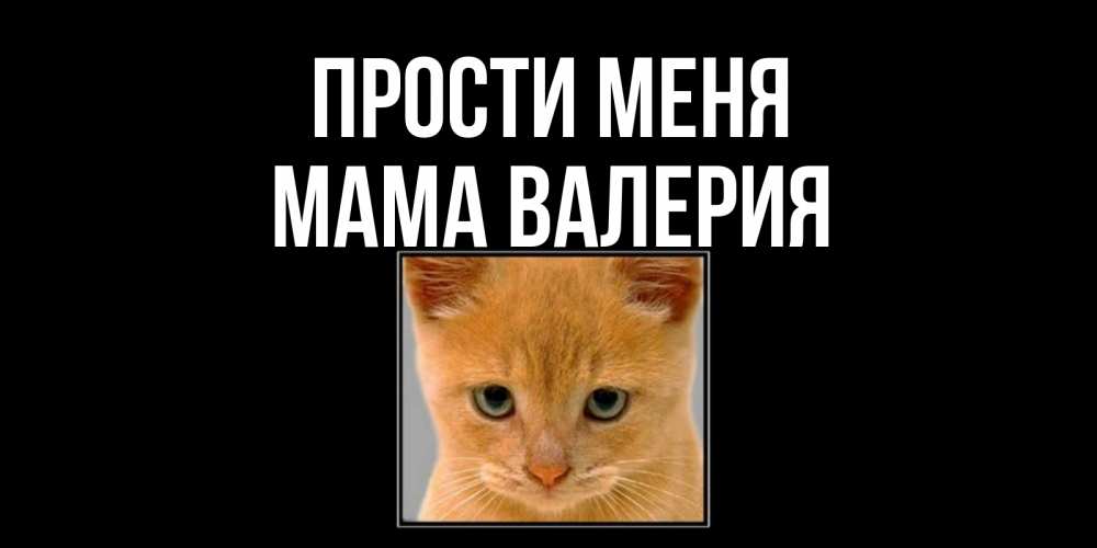 Открытка на каждый день с именем, Мама-Валерия Прости меня рыжий грустный кот просит прощения Прикольная открытка с пожеланием онлайн скачать бесплатно 