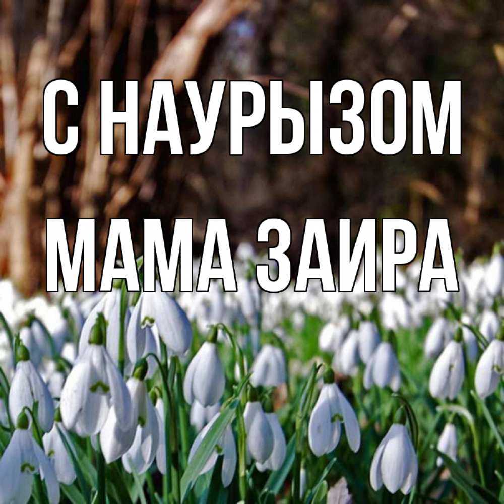 Открытка на каждый день с именем, Мама-Заира С наурызом с подснежниками 1 Прикольная открытка с пожеланием онлайн скачать бесплатно 