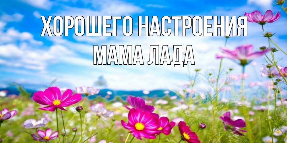 Открытка на каждый день с именем, Мама-Лада Хорошего настроения поле цветов Прикольная открытка с пожеланием онлайн скачать бесплатно 
