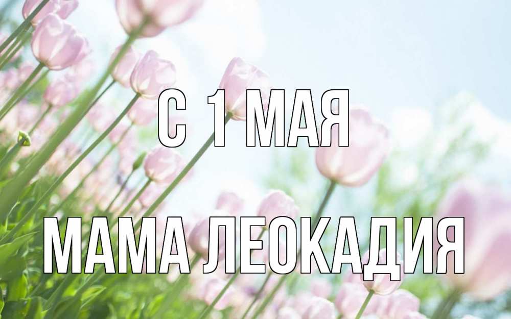 Открытка на каждый день с именем, Мама-Леокадия С 1 мая С 1 мая Прикольная открытка с пожеланием онлайн скачать бесплатно 