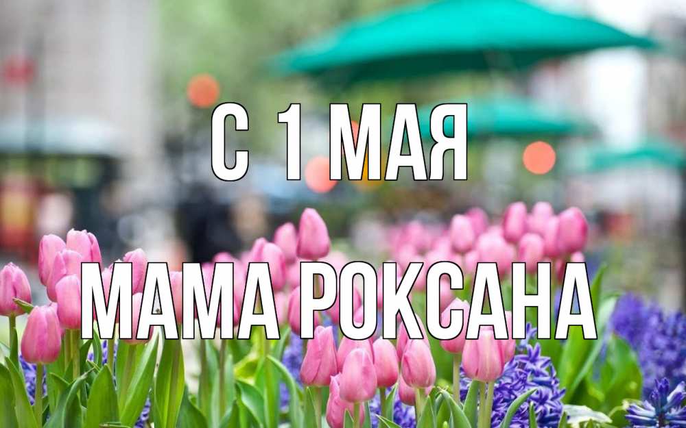 Открытка на каждый день с именем, Мама-Роксана С 1 мая С 1 мая Прикольная открытка с пожеланием онлайн скачать бесплатно 